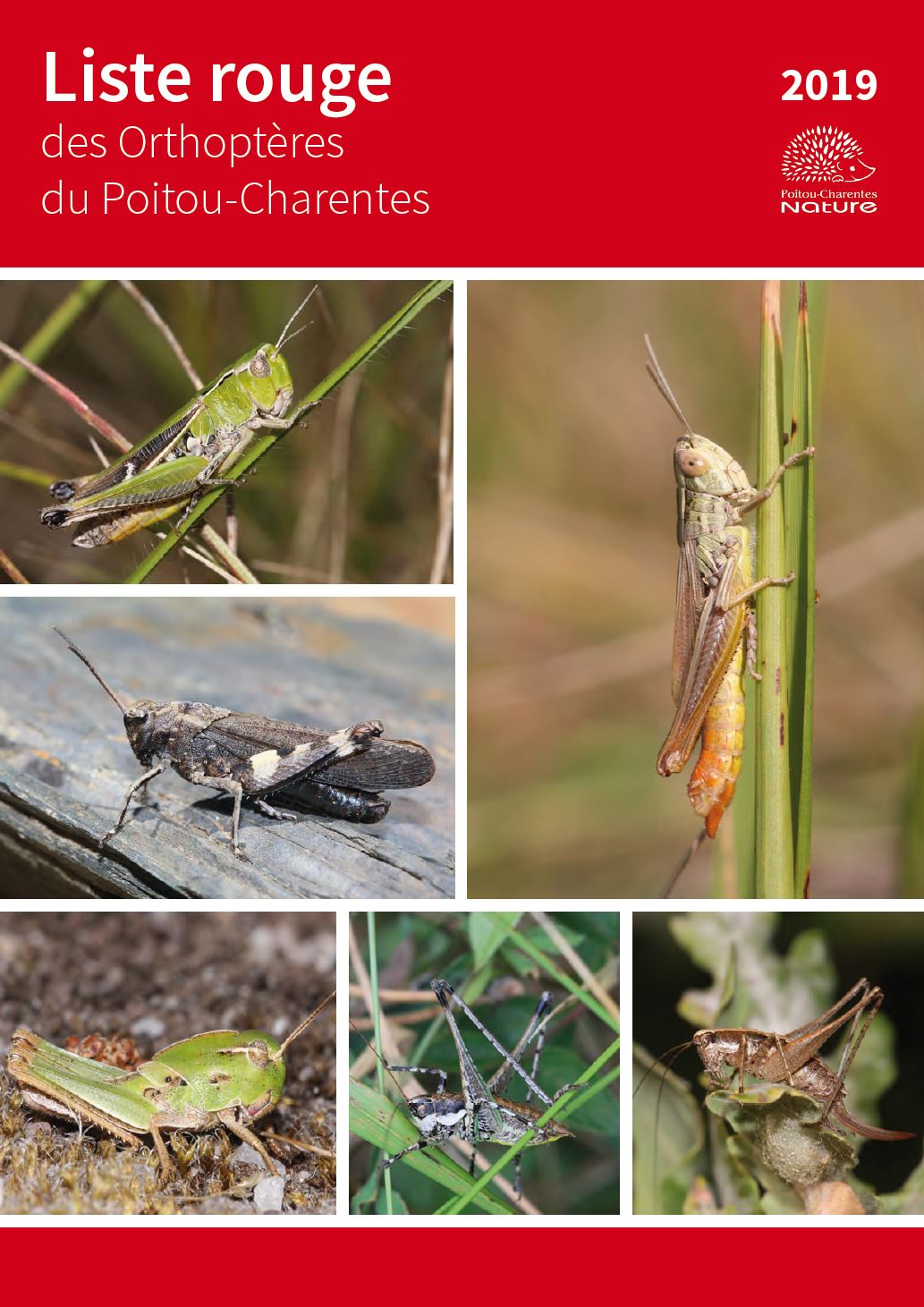 https://cdnfiles1.biolovision.net/www.faune-charente-maritime.org/userfiles/Orthoptres.JPG