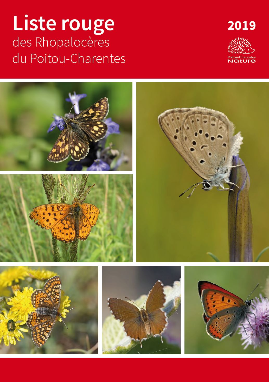 https://cdnfiles1.biolovision.net/www.faune-charente-maritime.org/userfiles/LRRRHOPALOCERESWeb.pdf