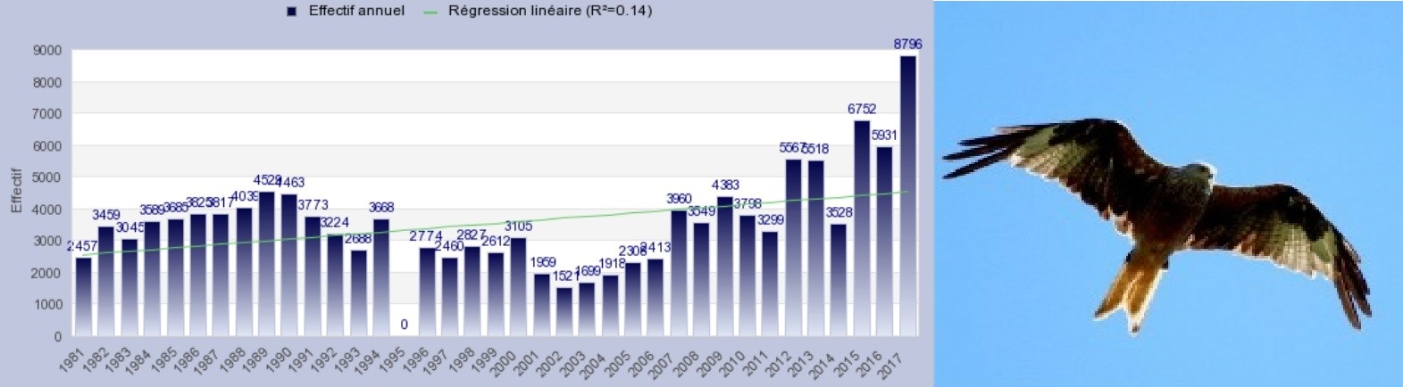 https://cdnfiles1.biolovision.net/www.faune-france.org/userfiles/AtlasOiseauxMigrateurs/graph.jpg
