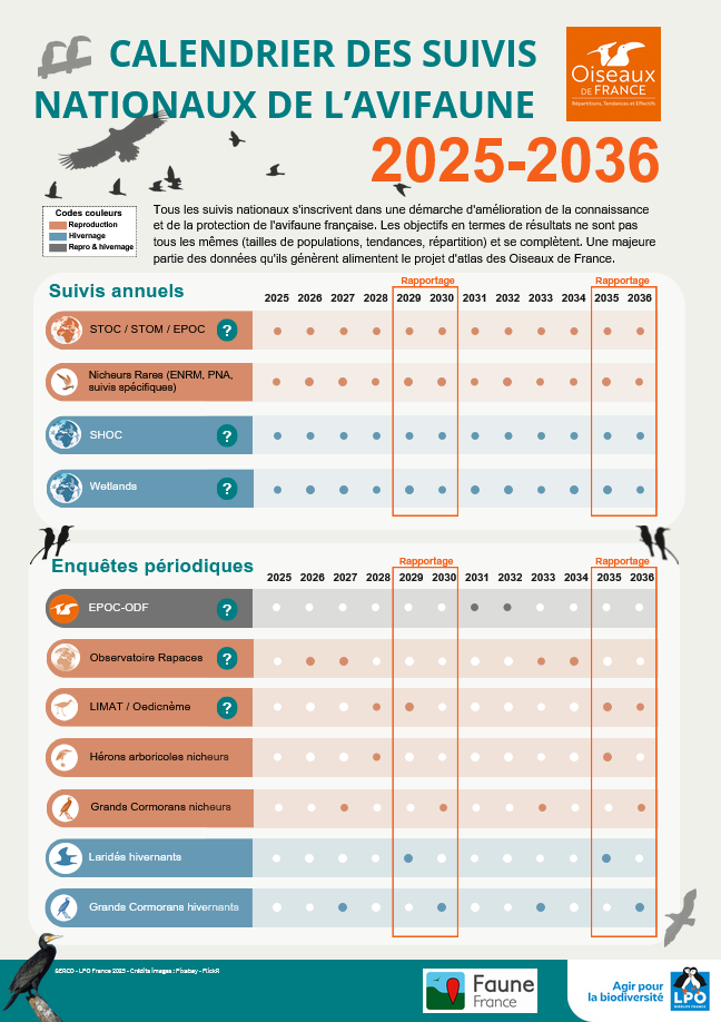 https://cdnfiles1.biolovision.net/www.faune-france.org/userfiles/FauneAuRA/ACTUS/CalendrierSuivisAvifaune2025-2036.png