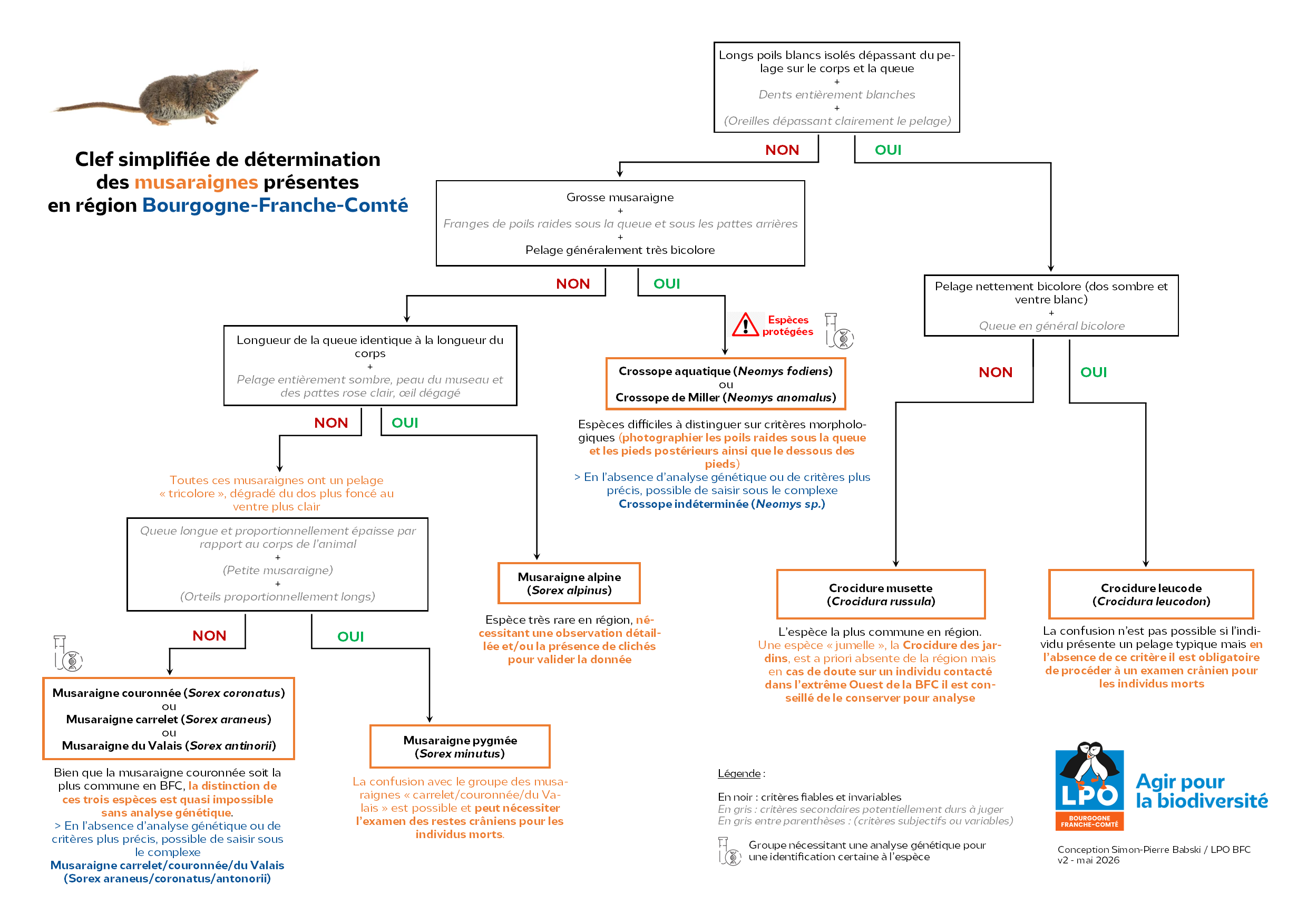 https://cdnfiles1.biolovision.net/www.faune-france.org/userfiles/FauneBFC/Mammifres/2026LPOBFCMusaraignesBFCv2.png