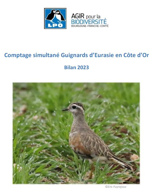 https://cdnfiles1.biolovision.net/www.faune-france.org/userfiles/FauneBFC/Oiseaux/Enqutesetsuivis/Capturebilanguignard2023.JPG