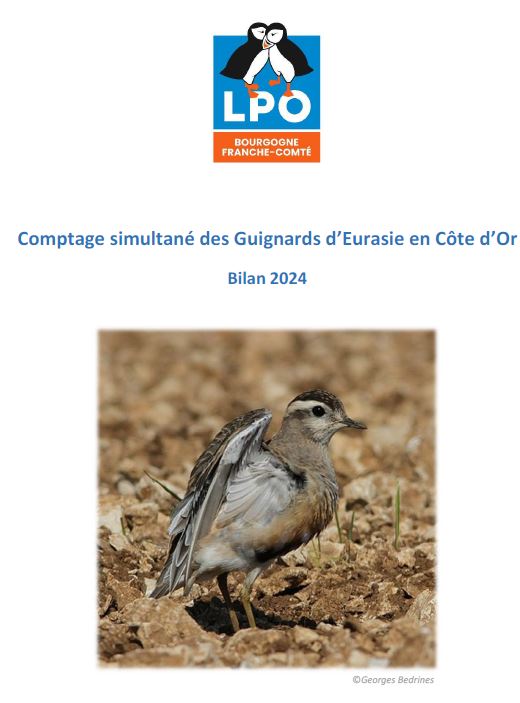 https://cdnfiles1.biolovision.net/www.faune-france.org/userfiles/FauneBFC/Oiseaux/Enqutesetsuivis/Capturebilanguignard2024.JPG