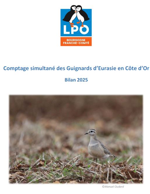 https://cdnfiles1.biolovision.net/www.faune-france.org/userfiles/FauneBFC/Oiseaux/Enqutesetsuivis/Capturebilanguignard2025.JPG