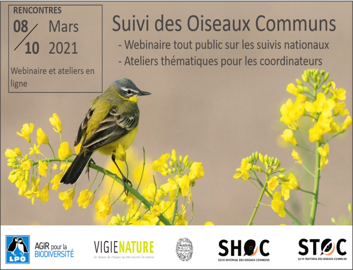 https://cdnfiles1.biolovision.net/www.faune-france.org/userfiles/FauneFrance/FFAgenda/20210119-WebinaireOiseauxcommunssavethedate.png