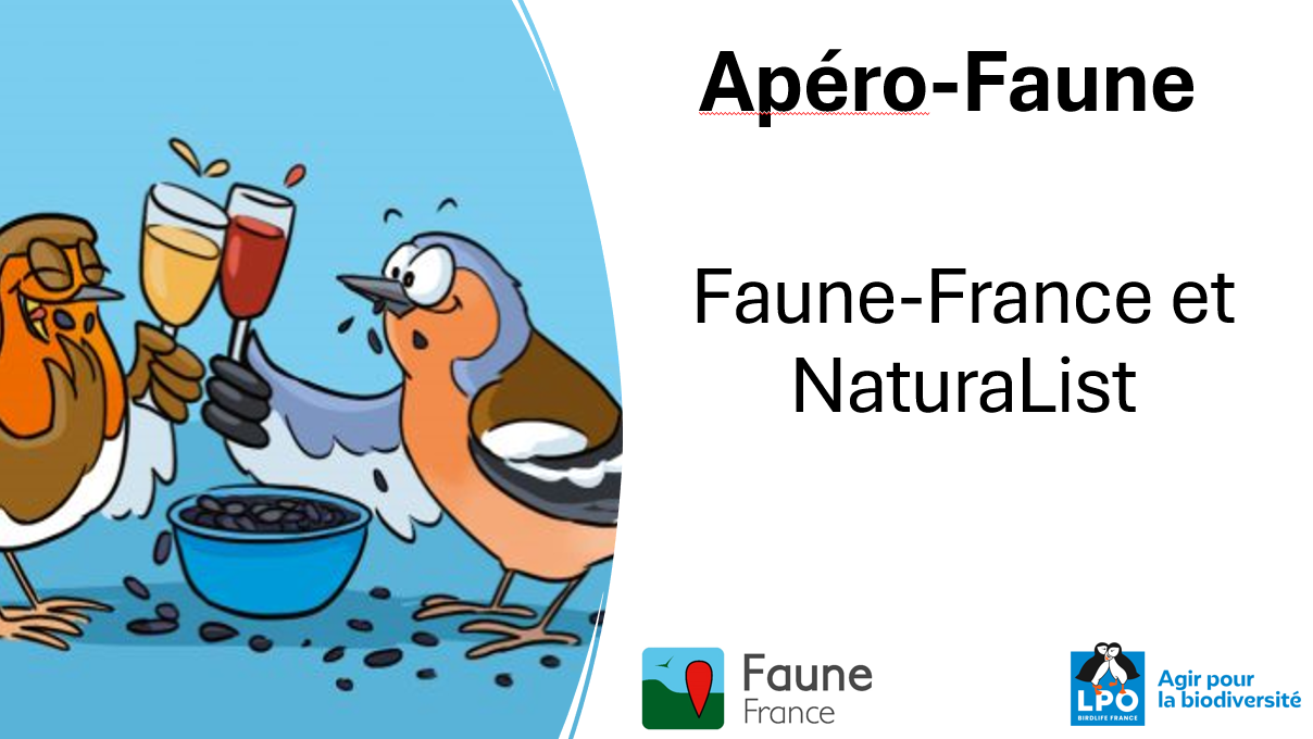 https://cdnfiles1.biolovision.net/www.faune-france.org/userfiles/FauneFrance/FFAidesNaturalistes/Faune-FranceetNaturaList.PNG