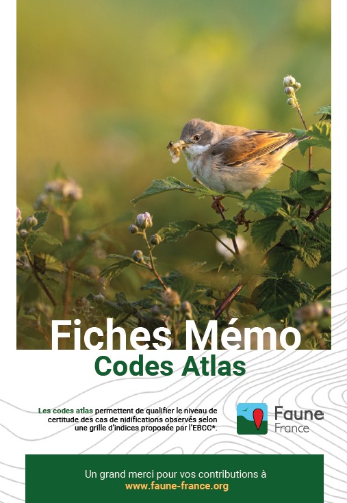 https://cdnfiles1.biolovision.net/www.faune-france.org/userfiles/FauneFrance/FFAidesNaturalistes/Mmocodeatlas.jpg