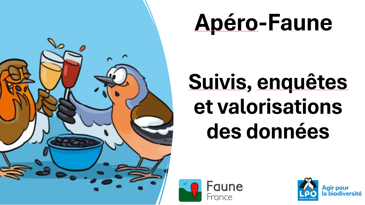 https://cdnfiles1.biolovision.net/www.faune-france.org/userfiles/FauneFrance/FFAidesNaturalistes/Suivisetenquetes.PNG