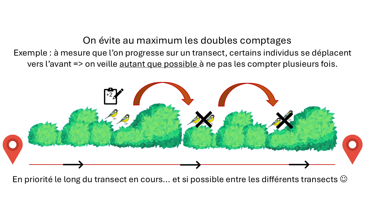https://cdnfiles1.biolovision.net/www.faune-france.org/userfiles/FauneFrance/FFAltasEnqutes/SchmaSHOC.png