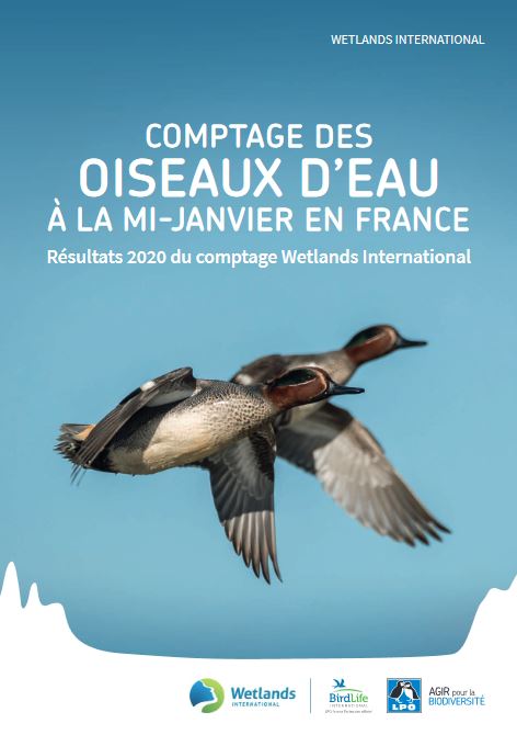 https://cdnfiles1.biolovision.net/www.faune-france.org/userfiles/FauneFrance/FFAltasEnqutes/WI2020Couverture.JPG