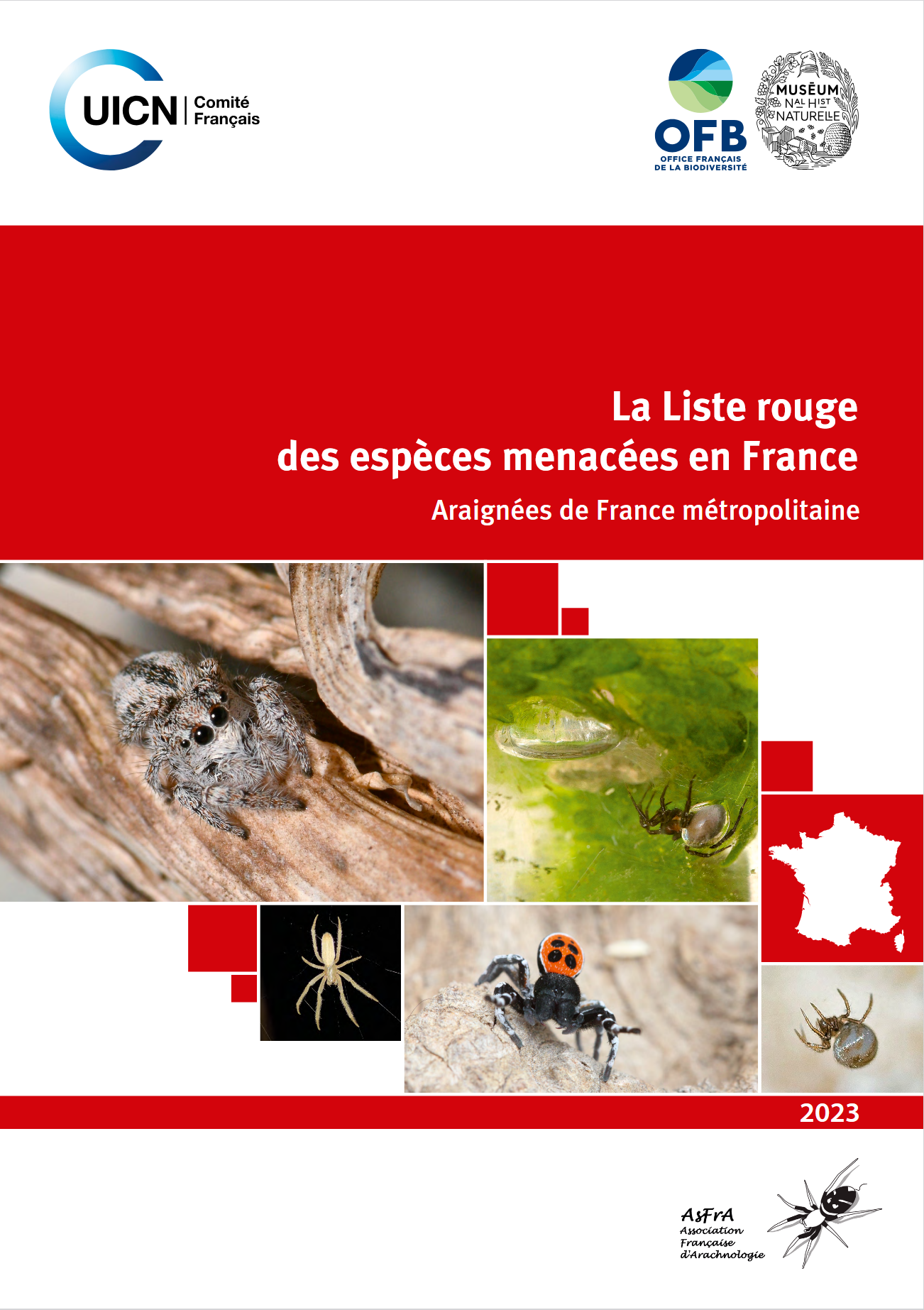 https://cdnfiles1.biolovision.net/www.faune-france.org/userfiles/FauneFrance/FFEnSavoirPlus/liste-rouge-araignees-de-france-metropolitaine.pdf
