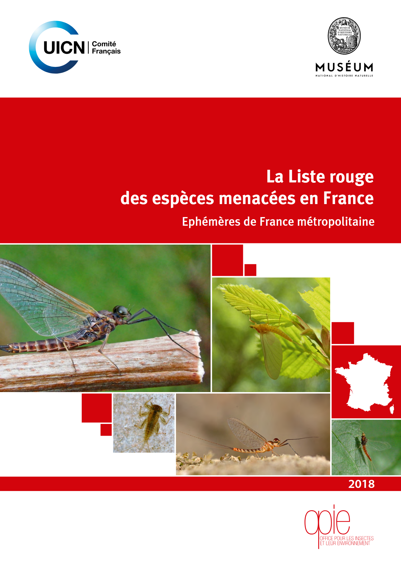 https://cdnfiles1.biolovision.net/www.faune-france.org/userfiles/FauneFrance/FFEnSavoirPlus/ListerougeFranceEphemeres-de-france-metropolitaine-2018FF.pdf