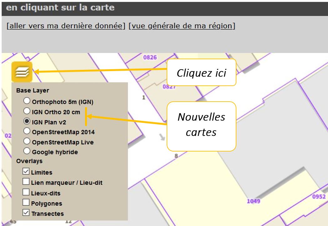 Faire fuir les Fouines ou les Martres Haute-Savoie