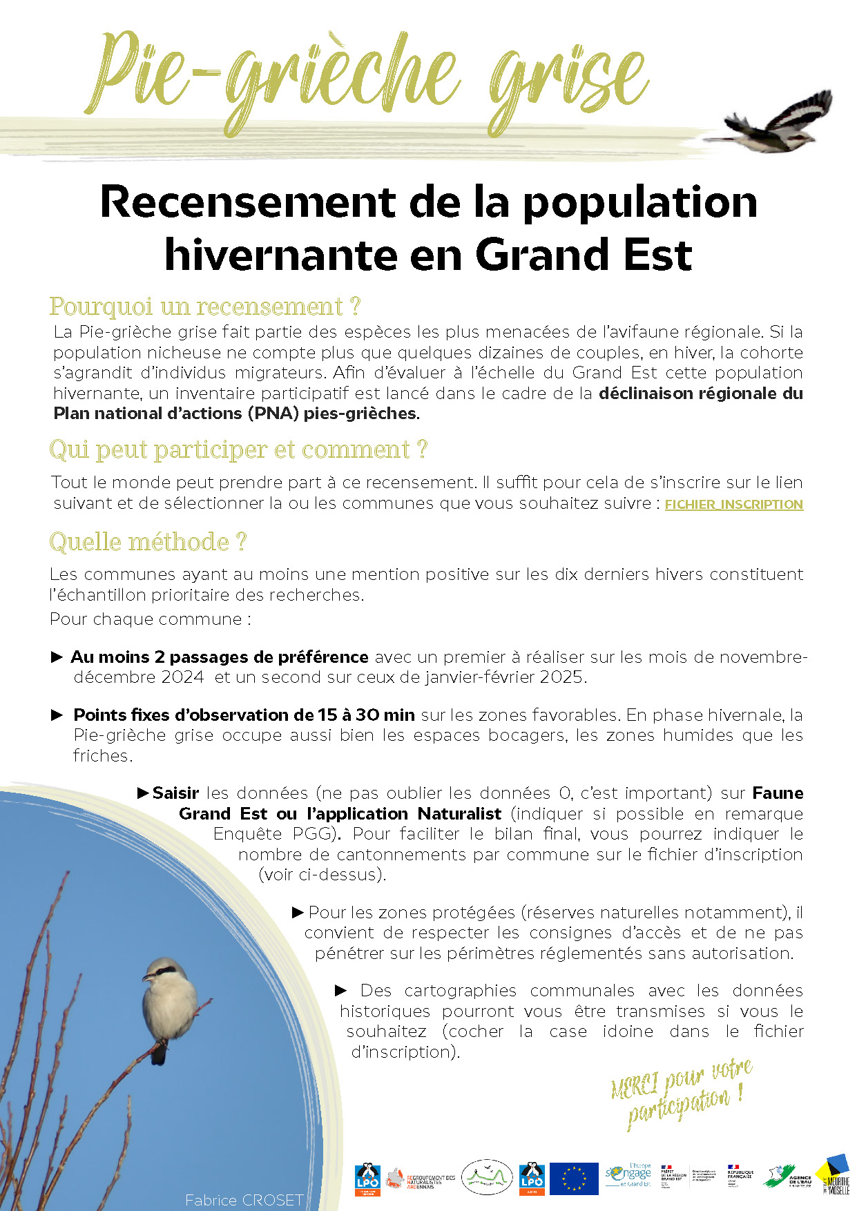 https://cdnfiles1.biolovision.net/www.faune-france.org/userfiles/FauneGrandEst/ENQUETES/2024FLYERENQUETEPGGLPO.pdf