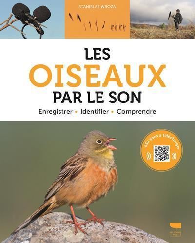 https://cdnfiles1.biolovision.net/www.faune-france.org/userfiles/FauneIDF/Oiseaux/Les-Oiseaux-par-le-son.jpg