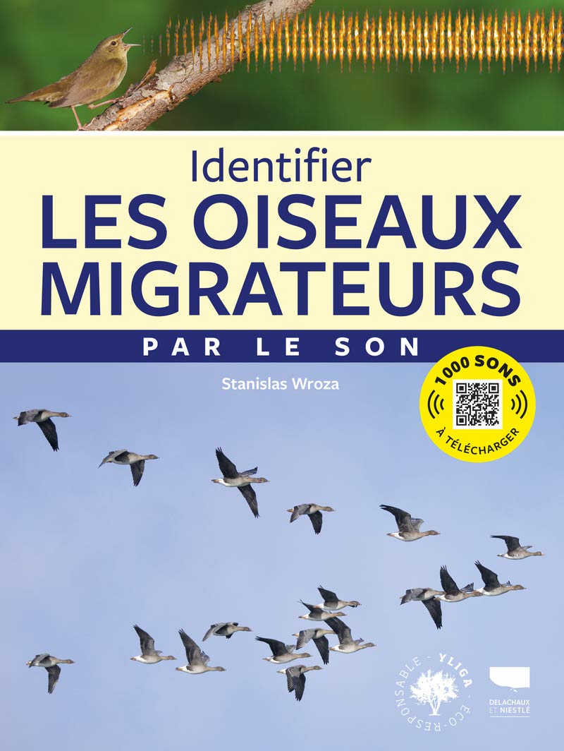 https://cdnfiles1.biolovision.net/www.faune-france.org/userfiles/FauneIDF/Oiseaux/Migrateurs-par-le-son.jpg