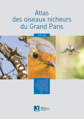 https://cdnfiles1.biolovision.net/www.faune-france.org/userfiles/FauneIDF/Oiseaux/gdparis.jpg
