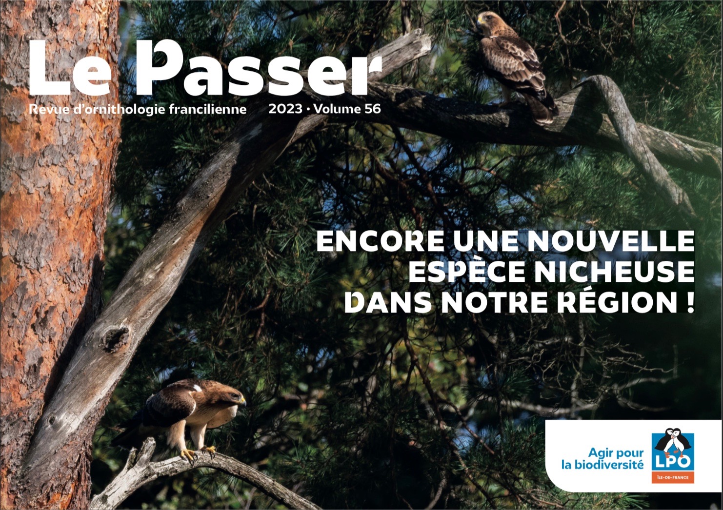 https://cdnfiles1.biolovision.net/www.faune-france.org/userfiles/FauneIDF/Publications/CouverturePasser56.jpg