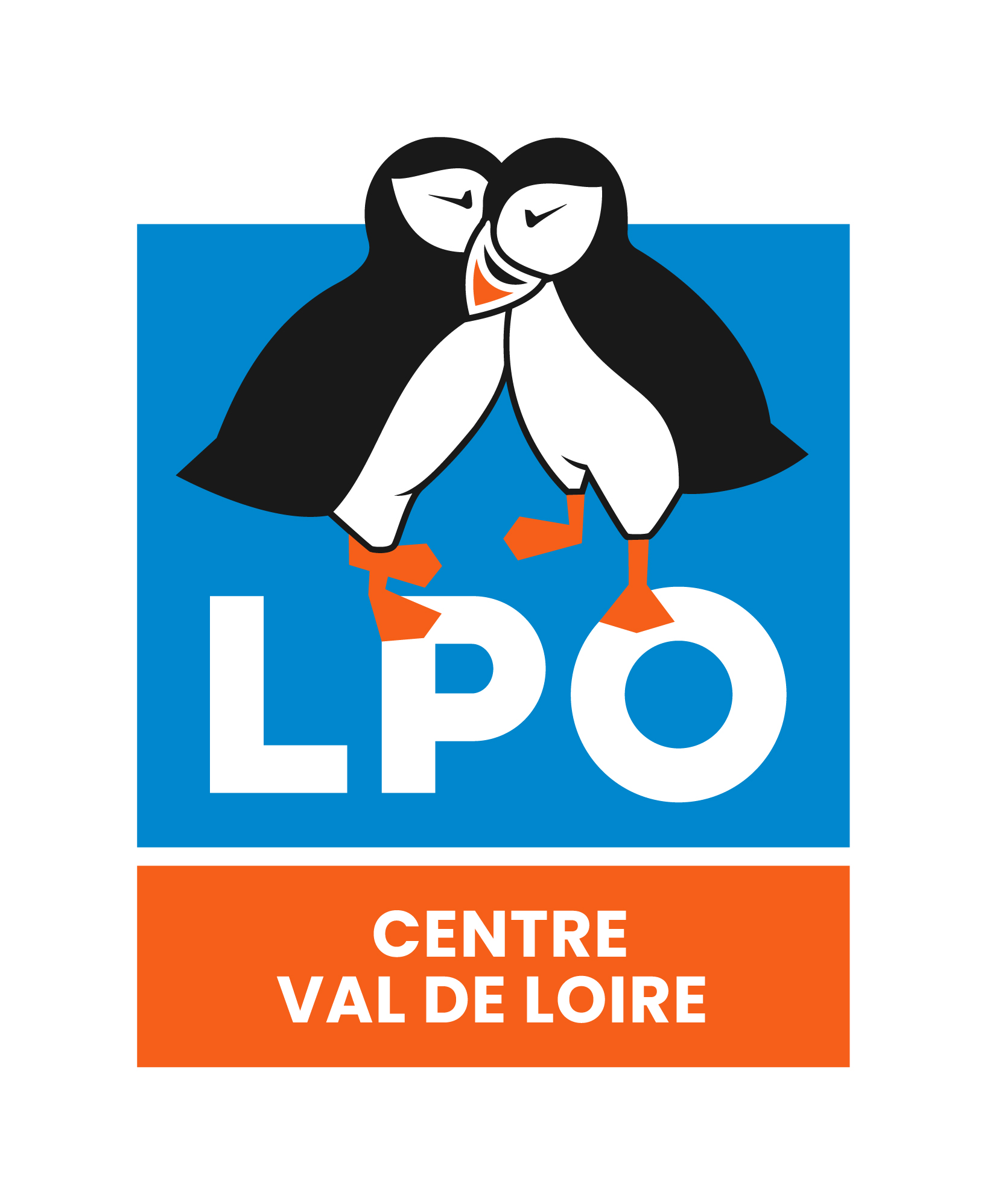 https://cdnfiles1.biolovision.net/www.faune-france.org/userfiles/FauneIndreetLoire/LPOCVDLRVBCARRE.jpg
