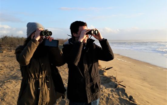https://cdnfiles1.biolovision.net/www.faune-france.org/userfiles/FaunePDL/ObservateursPhJourdebis-1269.jpg