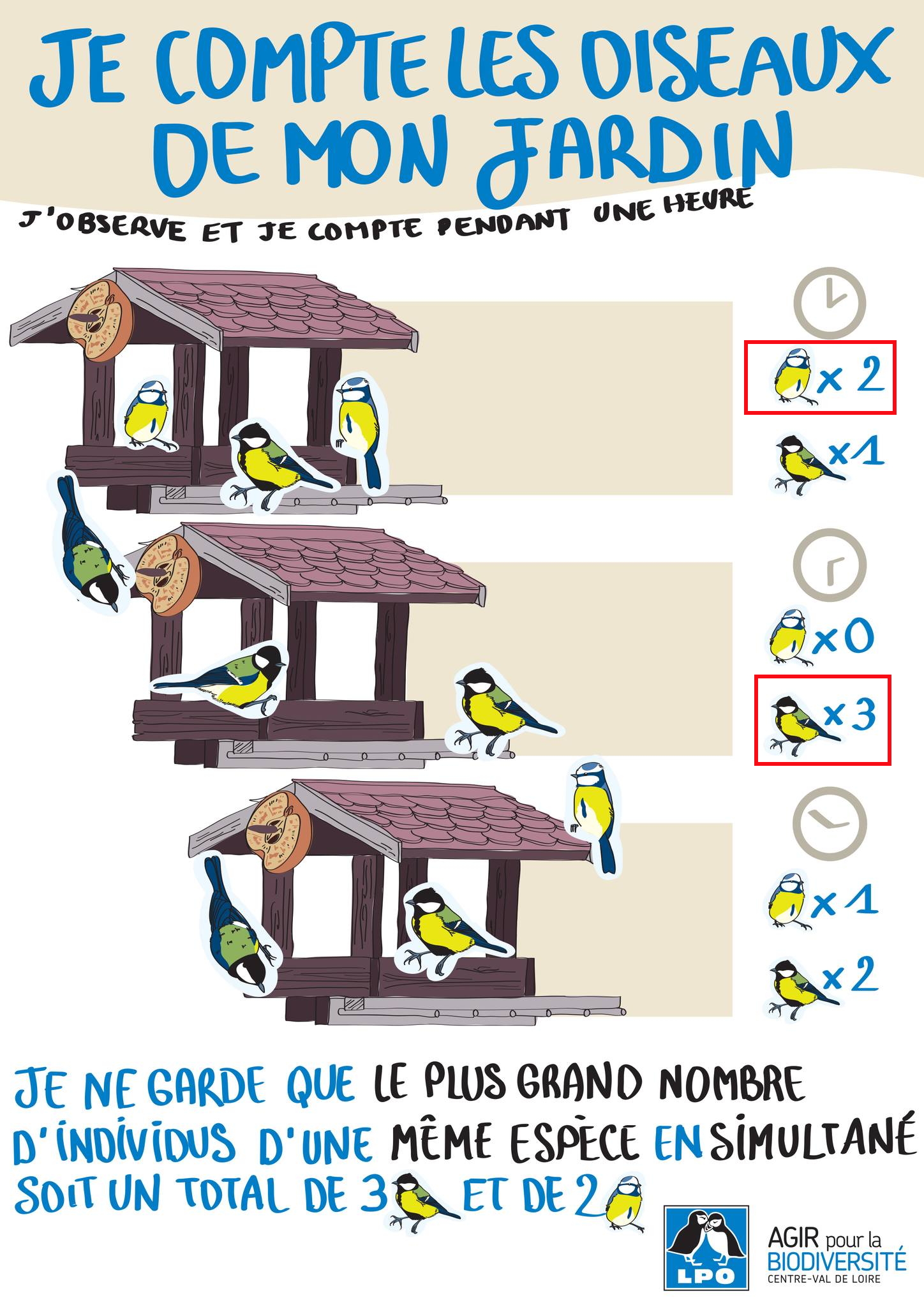https://cdnfiles1.biolovision.net/www.faune-france.org/userfiles/FaunePDL/comptageoiseauxjardinsmangeoire.jpg