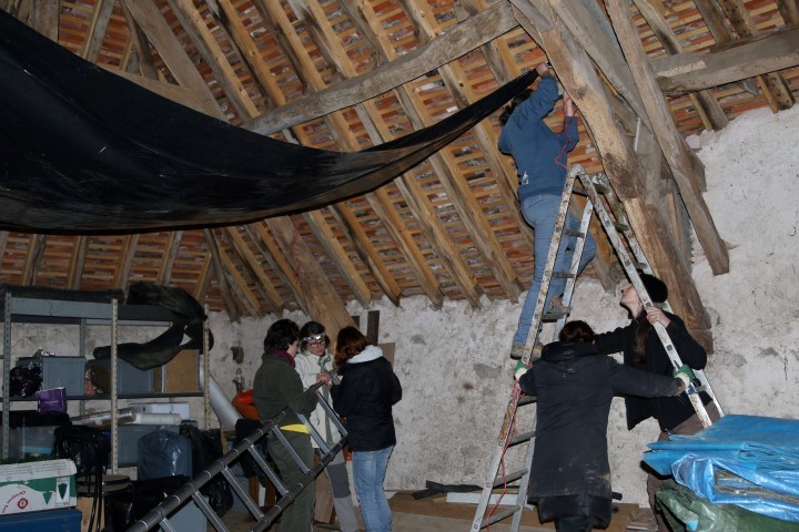 https://cdnfiles1.biolovision.net/www.faune-france.org/userfiles/FauneVienne/Illustrationspages/Chiros/chiro5RolandRaimondAmnagementpourlacohabitationChauves-sourisethommeSmall.JPG
