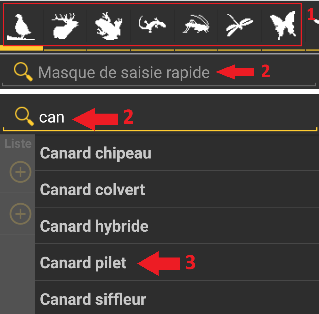 https://cdnfiles1.biolovision.net/www.faune-france.org/userfiles/ListeNaturaList/4-choix-sp.png
