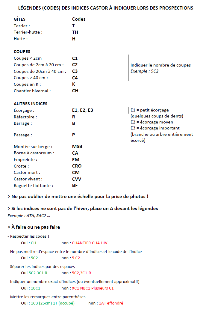 https://cdnfiles1.biolovision.net/www.faune-france.org/userfiles/codagecastor_1.png