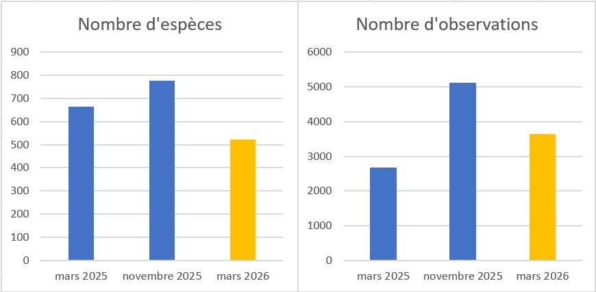 https://cdnfiles1.biolovision.net/www.faune-guyane.fr/userfiles/Documentsdivers/DfisFauneGuyane/DefiFGmars2026Bilangeneral1.jpg