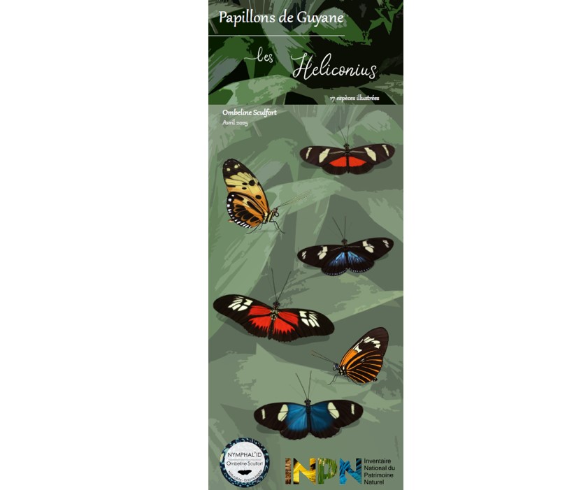 https://cdnfiles1.biolovision.net/www.faune-guyane.fr/userfiles/Documentsdivers/Papillons/Sculfort2025.GuideHeliconiusdeGuyanecouv.jpg