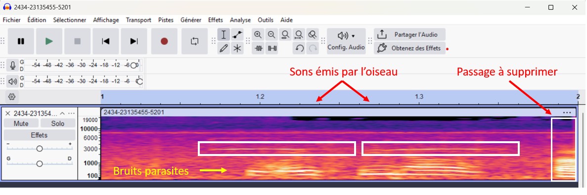 https://cdnfiles1.biolovision.net/www.faune-guyane.fr/userfiles/Documentsdivers/modedemploi/ModedemploiAudacity5.jpg