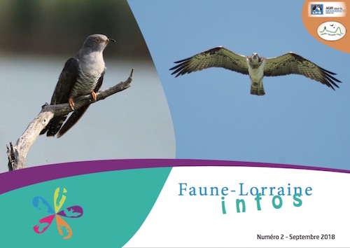 https://cdnfiles1.biolovision.net/www.faune-lorraine.org/userfiles/FLINFOS/NPUBLIES/Capturedcran2018-09-1919.04.47.jpg