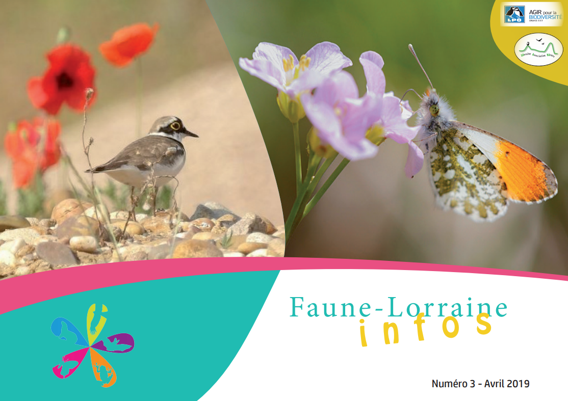 https://cdnfiles1.biolovision.net/www.faune-lorraine.org/userfiles/FLINFOS/NPUBLIES/Capturedcran26.png