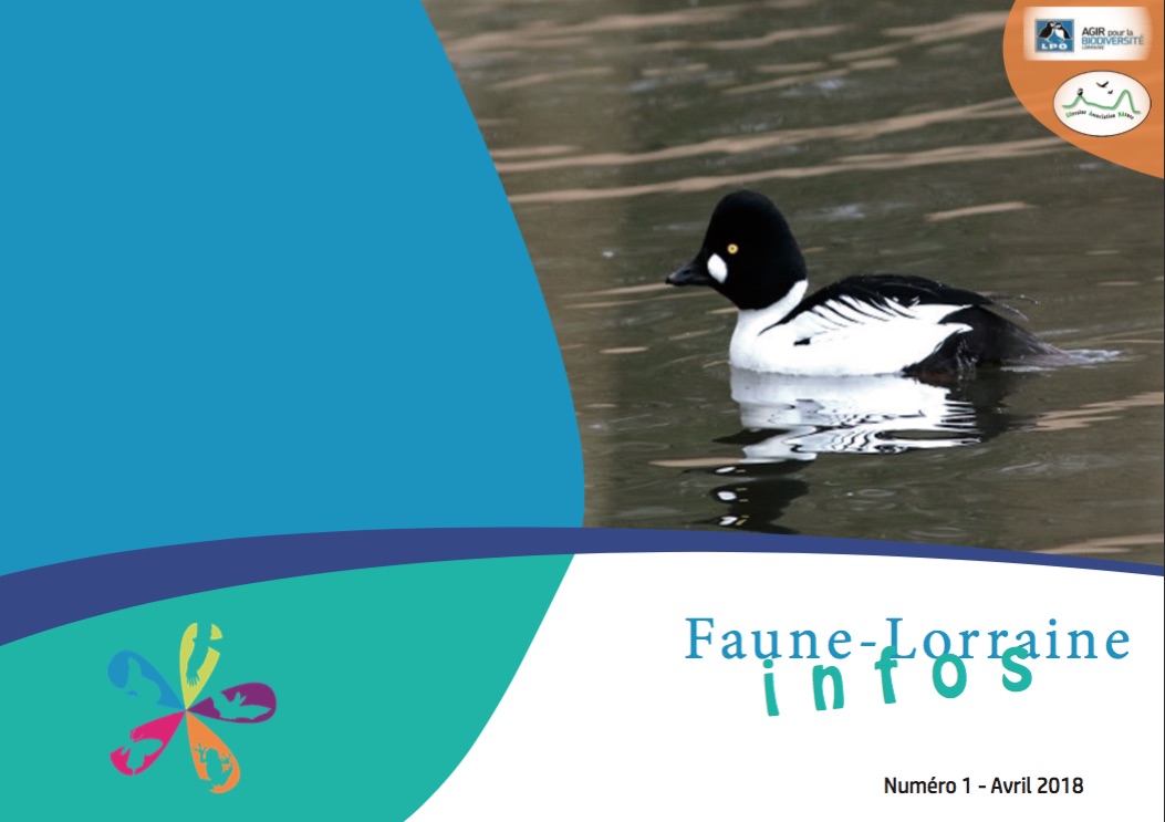 https://cdnfiles1.biolovision.net/www.faune-lorraine.org/userfiles/FLINFOS/NPUBLIES/CapturedecranFLinfos1avril2018.jpg