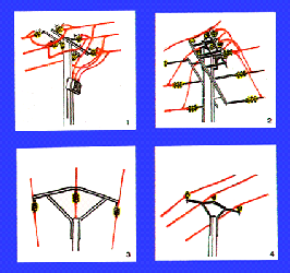 https://cdnfiles1.biolovision.net/www.faune-lorraine.org/userfiles/Oiseauxetrseaulectrique/telechargement1.png