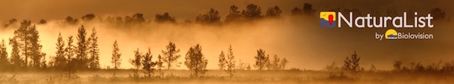 https://cdnfiles1.biolovision.net/www.faune-lorraine.org/userfiles/PORTAILSNATIONAUX/Naturalist.jpeg