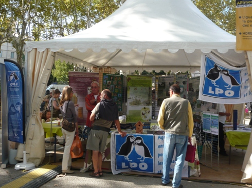 https://cdnfiles1.biolovision.net/www.faune-lr.org/userfiles/LPO34vieassociativesmall.JPG