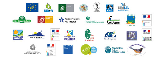 https://cdnfiles1.biolovision.net/www.faune-martinique.org/userfiles/Bandeaulogostouspetit_2.jpg