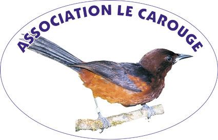 https://cdnfiles1.biolovision.net/www.faune-martinique.org/userfiles/LECAROUGELOGO.jpg
