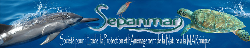 https://cdnfiles1.biolovision.net/www.faune-martinique.org/userfiles/logo-sepanmar.jpg