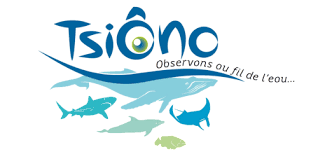 https://cdnfiles1.biolovision.net/www.faune-mayotte.org/userfiles/TsiOno.png