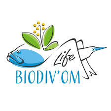 https://cdnfiles1.biolovision.net/www.faune-mayotte.org/userfiles/lifebiodivom.jpg