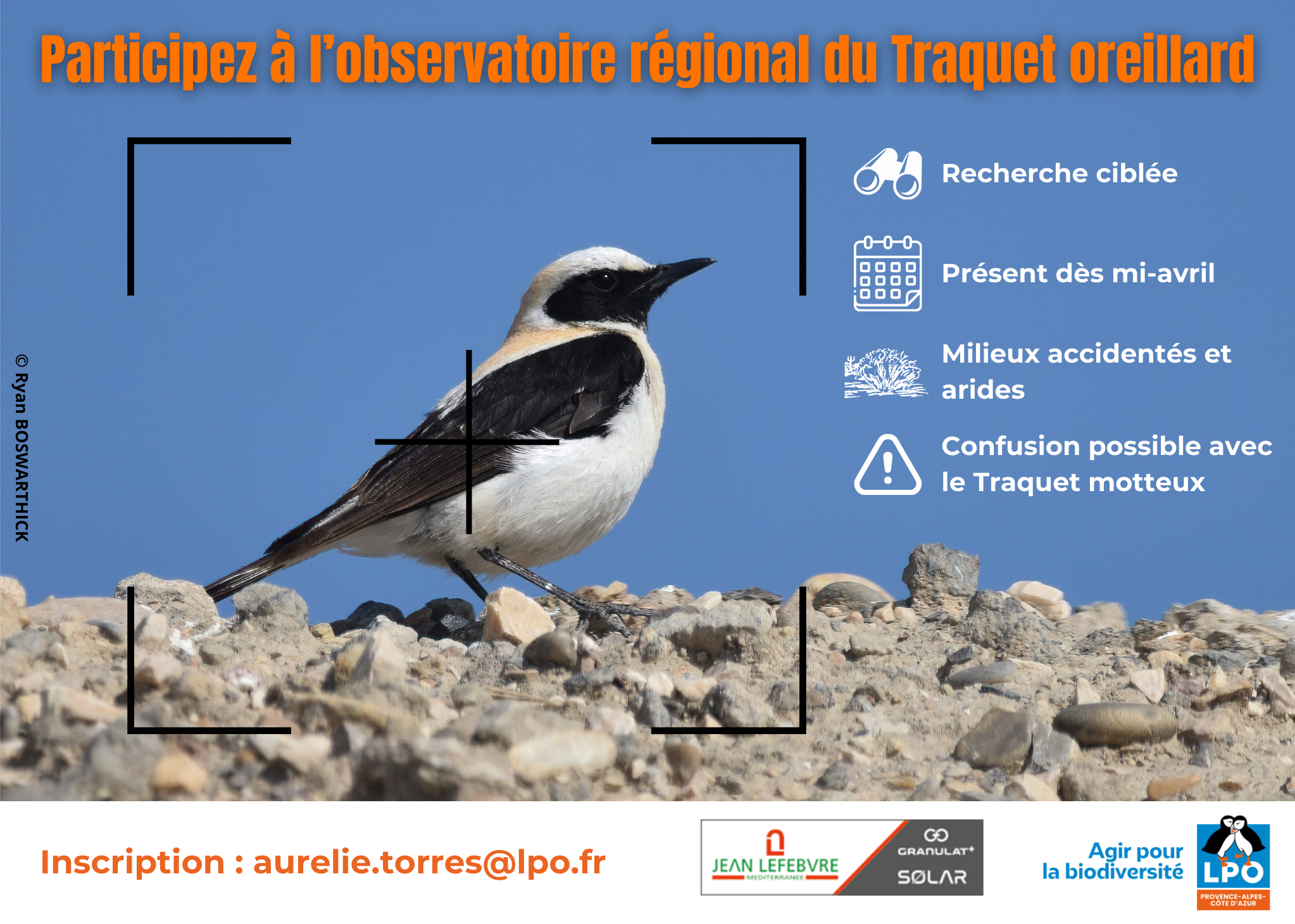 https://cdnfiles1.biolovision.net/www.faune-paca.org/userfiles/MonDossier/Traquetoreillard/ObservatoireTraquetoreillard.png