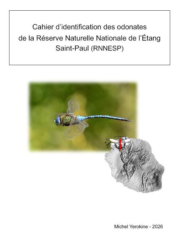 https://cdnfiles1.biolovision.net/www.faune-reunion.fr/userfiles/LaSelyzienne/couverturecahierdtermination.jpg
