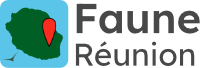 https://cdnfiles1.biolovision.net/www.faune-reunion.fr/userfiles/logos/logofaunereunionhorizontal200px.png