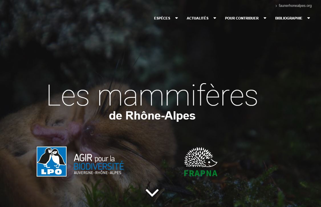 https://cdnfiles1.biolovision.net/www.faune-rhone.org/userfiles/Documents/AtlasMammif/CaptureAccueilPortailMammif.JPG