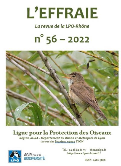 https://cdnfiles1.biolovision.net/www.faune-rhone.org/userfiles/Documents/Effraierevue/Effraie56/Effraie-56-couverture-8217.jpg