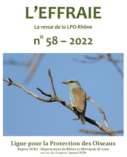 https://cdnfiles1.biolovision.net/www.faune-rhone.org/userfiles/Documents/Effraierevue/Effraie58vignette.jpg