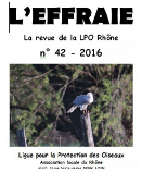 https://cdnfiles1.biolovision.net/www.faune-rhone.org/userfiles/Documents/Effraierevue/Num42couv.jpg