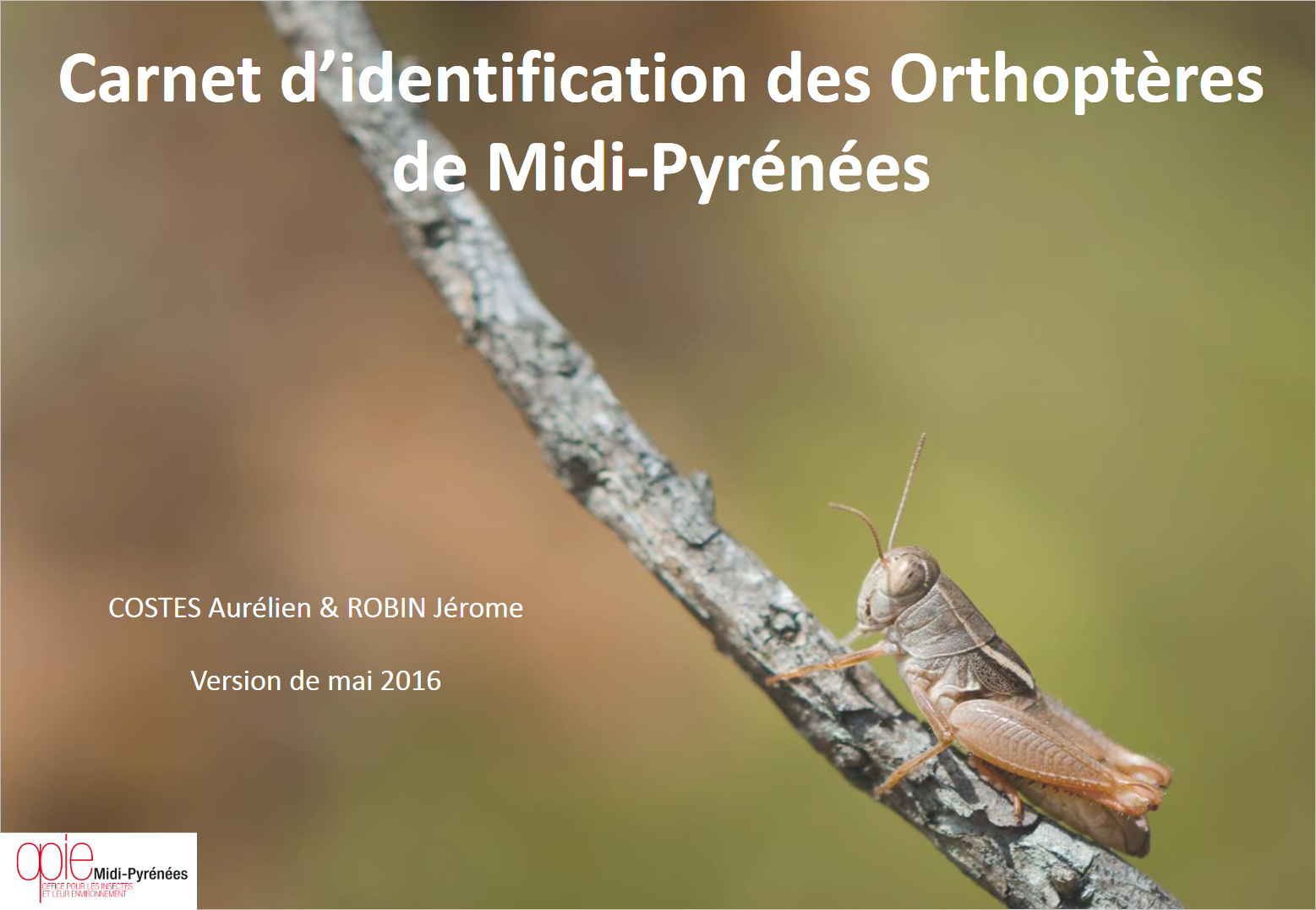 https://cdnfiles1.biolovision.net/www.faune-tarn-aveyron.org/userfiles/page5.jpg